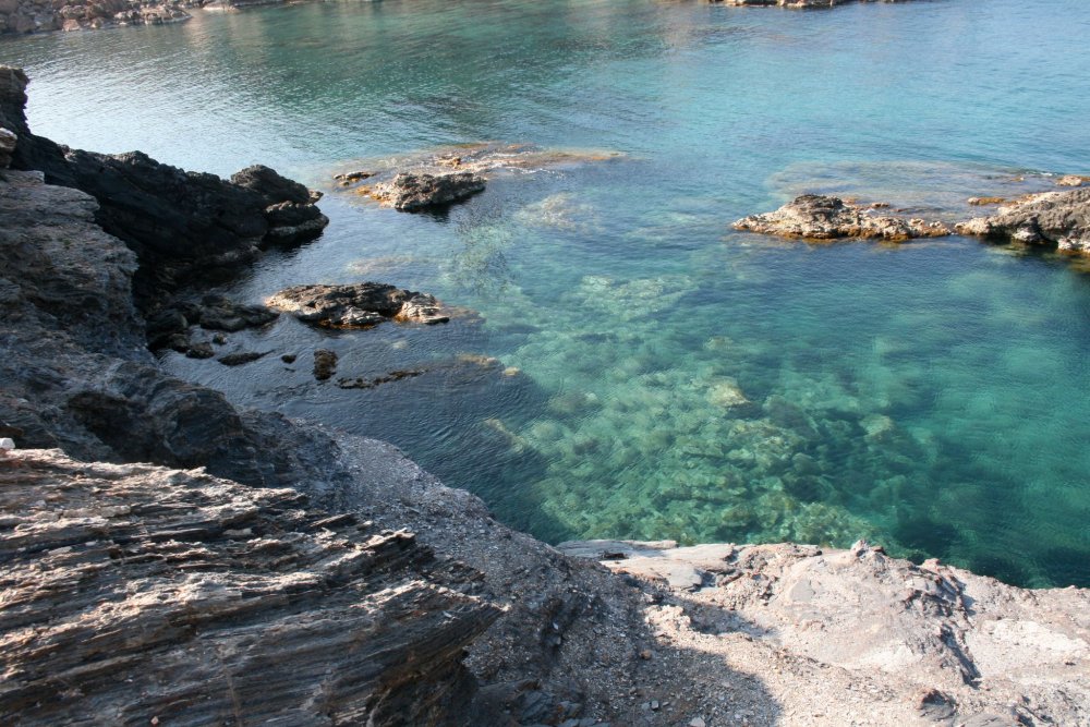 460006_205425666234784_1881231710_o